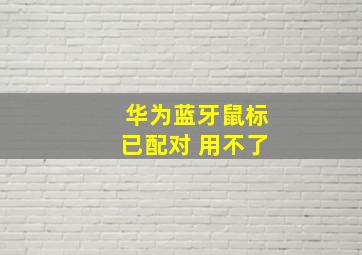 华为蓝牙鼠标已配对 用不了